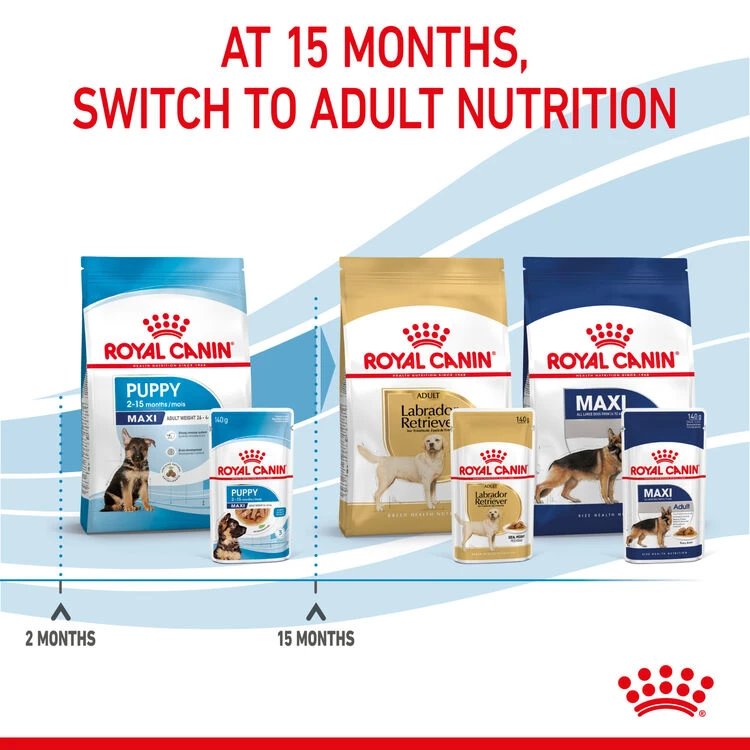 ROYAL CANIN® Maxi Large Breed Puppy In Gravy Wet Food 12 ROYAL CANIN® Maxi Large Breed Puppy In Gravy Wet Food - Image 10