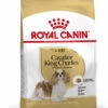 ROYAL CANIN® Cavalier King Charles Adult Dry Dog Food -Deals Dog Tug Toy Store uqjayalc6tb06herctuv