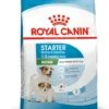 ROYAL CANIN® Mini Starter Mother & Babydog Adult And Puppy Dry Food 1 ROYAL CANIN® Mini Starter Mother & Babydog Adult And Puppy Dry Food -Deals Dog Tug Toy Store w1ojwh93mc7qopkgbubq