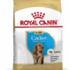 ROYAL CANIN® Cocker Puppy Dry Food 1 ROYAL CANIN® Cocker Puppy Dry Food -Deals Dog Tug Toy Store wifxdyp9r34g0gh3b1sb