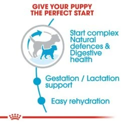 ROYAL CANIN® Mini Starter Mother & Babydog Adult And Puppy Dry Food 35 ROYAL CANIN® Mini Starter Mother & Babydog Adult And Puppy Dry Food -Deals Dog Tug Toy Store wlqwolcnlqa9dlv0eb40