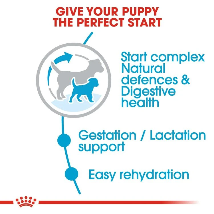 ROYAL CANIN® Mini Starter Mother & Babydog Adult And Puppy Dry Food 16 ROYAL CANIN® Mini Starter Mother & Babydog Adult And Puppy Dry Food - Image 14