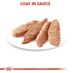 ROYAL CANIN® Digestive Care Wet Pouches All Breeds Adult Dog Food 14 ROYAL CANIN® Digestive Care Wet Pouches All Breeds Adult Dog Food -Deals Dog Tug Toy Store x3zd4zat0hb6dmdtpqo3