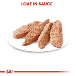 ROYAL CANIN® Urinary Care Wet Pouches Adult Dog Food 14 ROYAL CANIN® Urinary Care Wet Pouches Adult Dog Food -Deals Dog Tug Toy Store xqsbq34i0ek6fps21awi