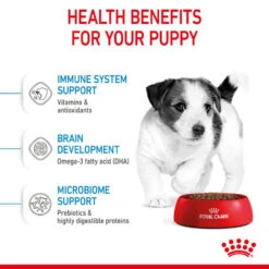 ROYAL CANIN® Mini Puppy Dry Dog Food -Deals Dog Tug Toy Store xquismlxdyt0fvatl6nf