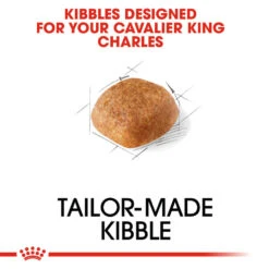 ROYAL CANIN® Cavalier King Charles Adult Dry Dog Food -Deals Dog Tug Toy Store ye4zdu1nm5nk4prcdsik