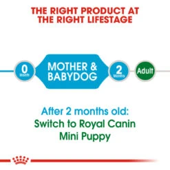ROYAL CANIN® Mini Starter Mother & Babydog Adult And Puppy Dry Food 37 ROYAL CANIN® Mini Starter Mother & Babydog Adult And Puppy Dry Food -Deals Dog Tug Toy Store yewntgxrcfsekppcpjqd