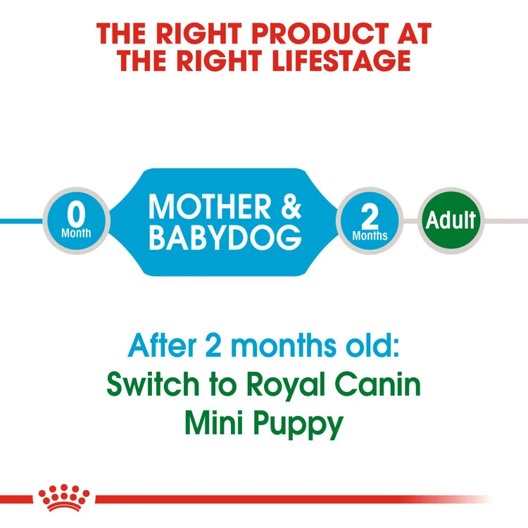 ROYAL CANIN® Mini Starter Mother & Babydog Adult And Puppy Dry Food 18 ROYAL CANIN® Mini Starter Mother & Babydog Adult And Puppy Dry Food - Image 16