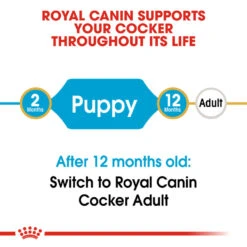 ROYAL CANIN® Cocker Puppy Dry Food 13 ROYAL CANIN® Cocker Puppy Dry Food -Deals Dog Tug Toy Store ynuui5oaqw1tcg4khbzh