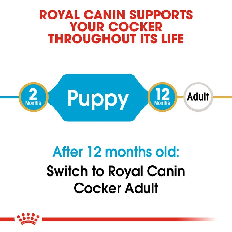 ROYAL CANIN® Cocker Puppy Dry Food 5 ROYAL CANIN® Cocker Puppy Dry Food - Image 3