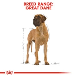 ROYAL CANIN® Great Dane Adult Dry Dog Food 12 ROYAL CANIN® Great Dane Adult Dry Dog Food -Deals Dog Tug Toy Store zrv25m9gksgvpjcfw8d1